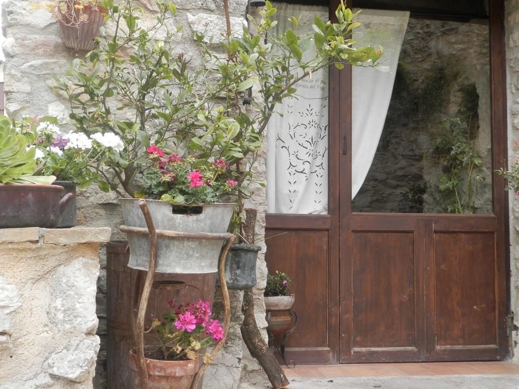 Residenza Di Paese Castello Del Poggio Hotel Ferentillo Exterior foto